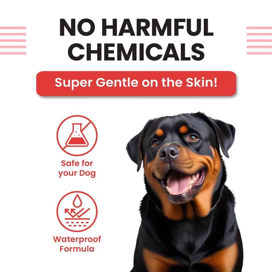 Vivaldis Anti Tick, Flea & Lice Treatment Spot On for Dogs | VI-FI Forte | 40-60 kg Combo 