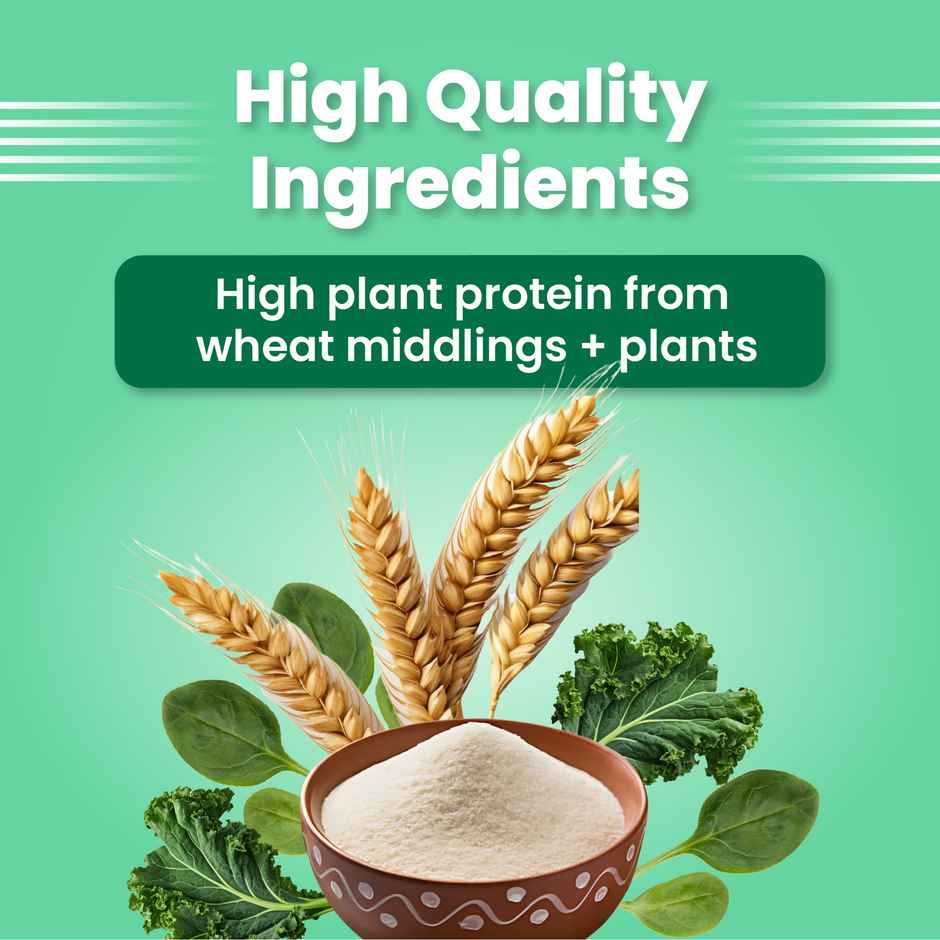 Bark Out Loud - Sardine Oil | Skin & Coat Supplement for Dogs & Cats | 3 & 6, Vitamin E, Fish Oil