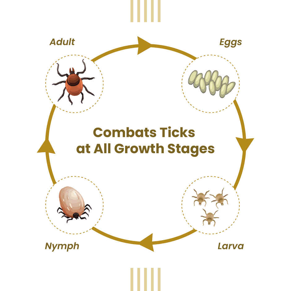 Vivaldis VI-FI Forte-Tick, Flea, Lice Spray for Dogs, Cats, Kitten & Puppies with Fipronil Combo 