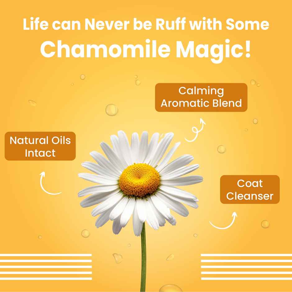 Bark Out Loud | Puppy Shampoo | Oatmeal Chamomile, Rosemary | Gentle Anti-Bacterial