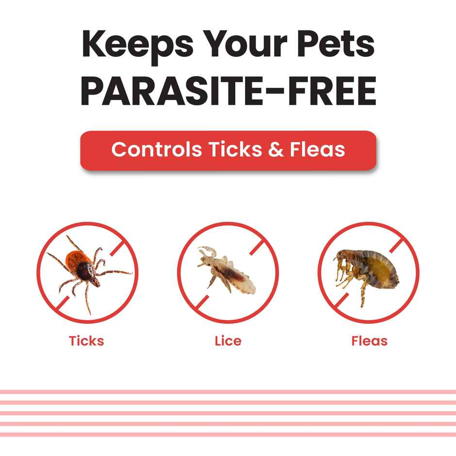 Vivaldis Anti Tick, Flea & Lice Treatment Spot On for Dogs | VI-FI Forte | 40-60 kg