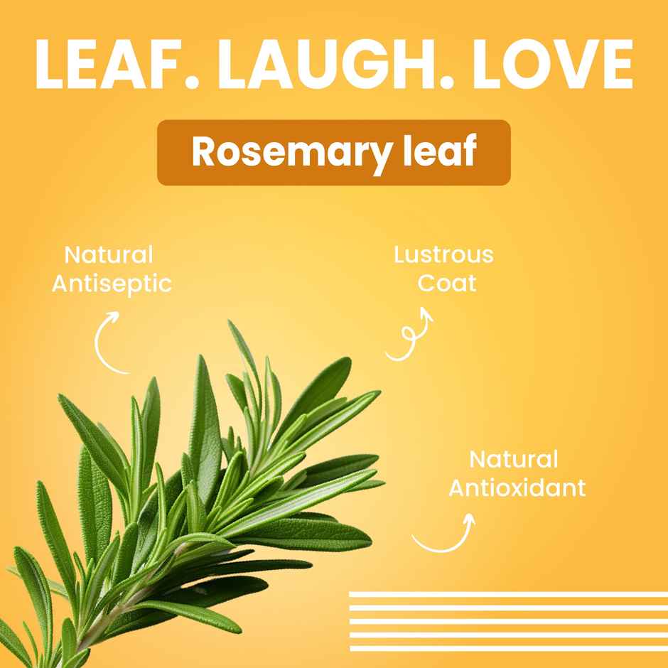 Bark Out Loud | Puppy Shampoo | Oatmeal Chamomile, Rosemary | Gentle Anti-Bacterial