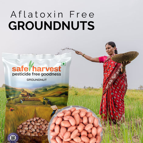 Safe Harvest Groundnut (Mungfali) | Aflatoxin Free | Pesticide Free | Chemical Free