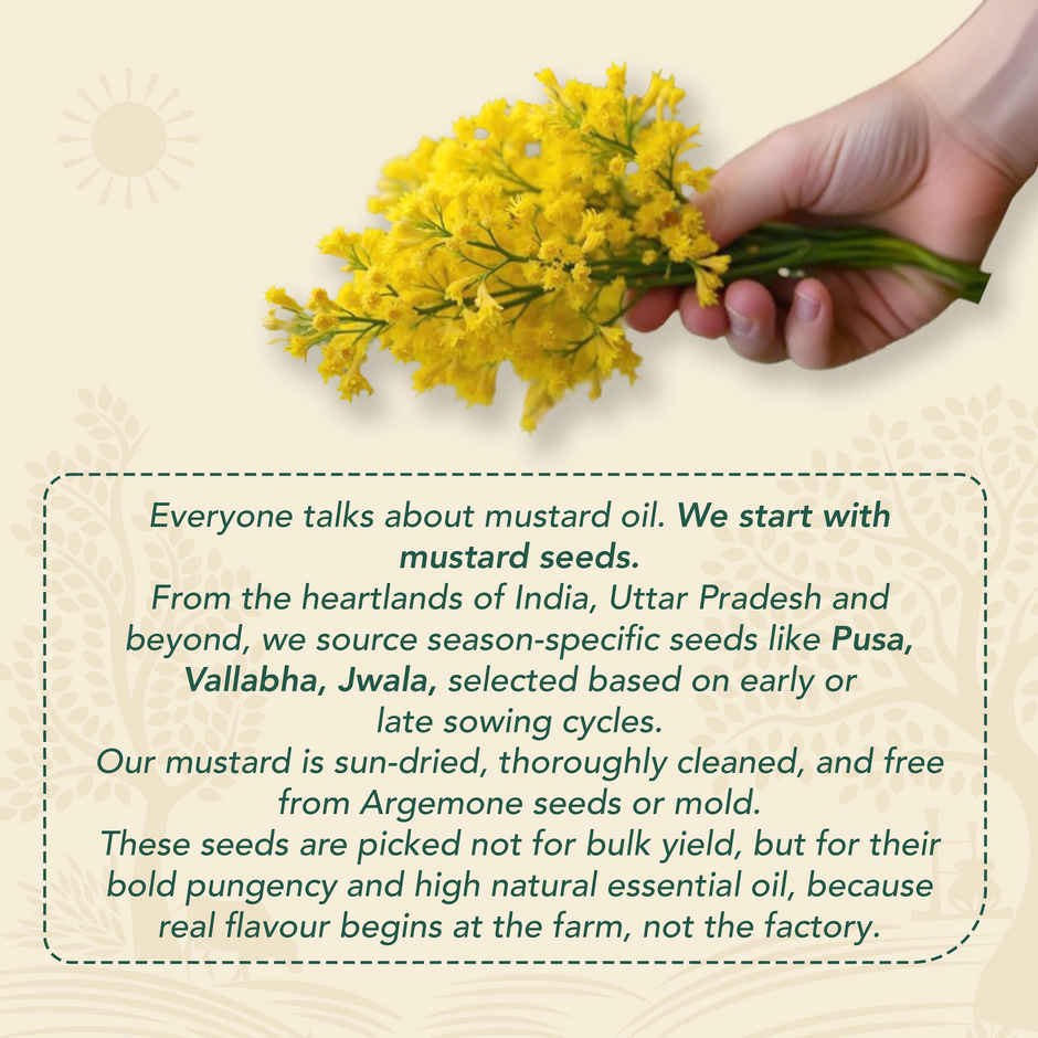 Anveshan Mustard (Sarson) Wood Cold Pressed Oil | Bottle