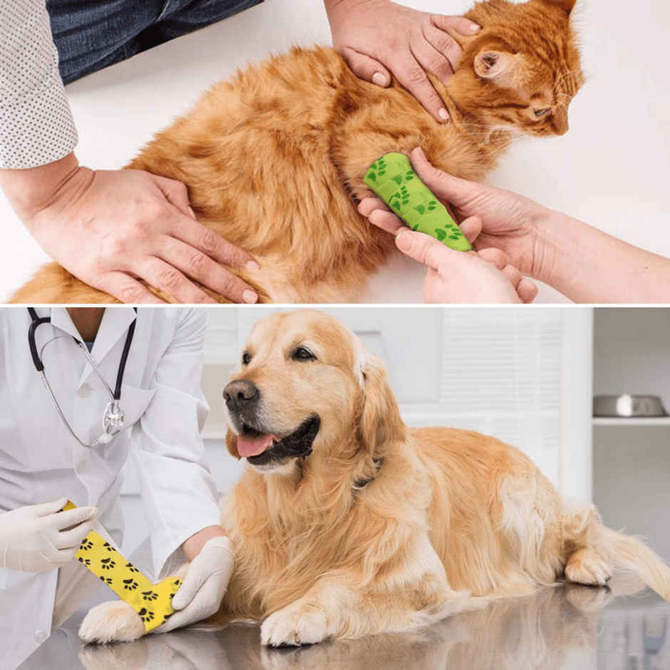 Foodie Puppies Pet Paw Print Self-Adhesive Bandage - 2 Pack | First Aid Tape For Pets, Cats, Dogs