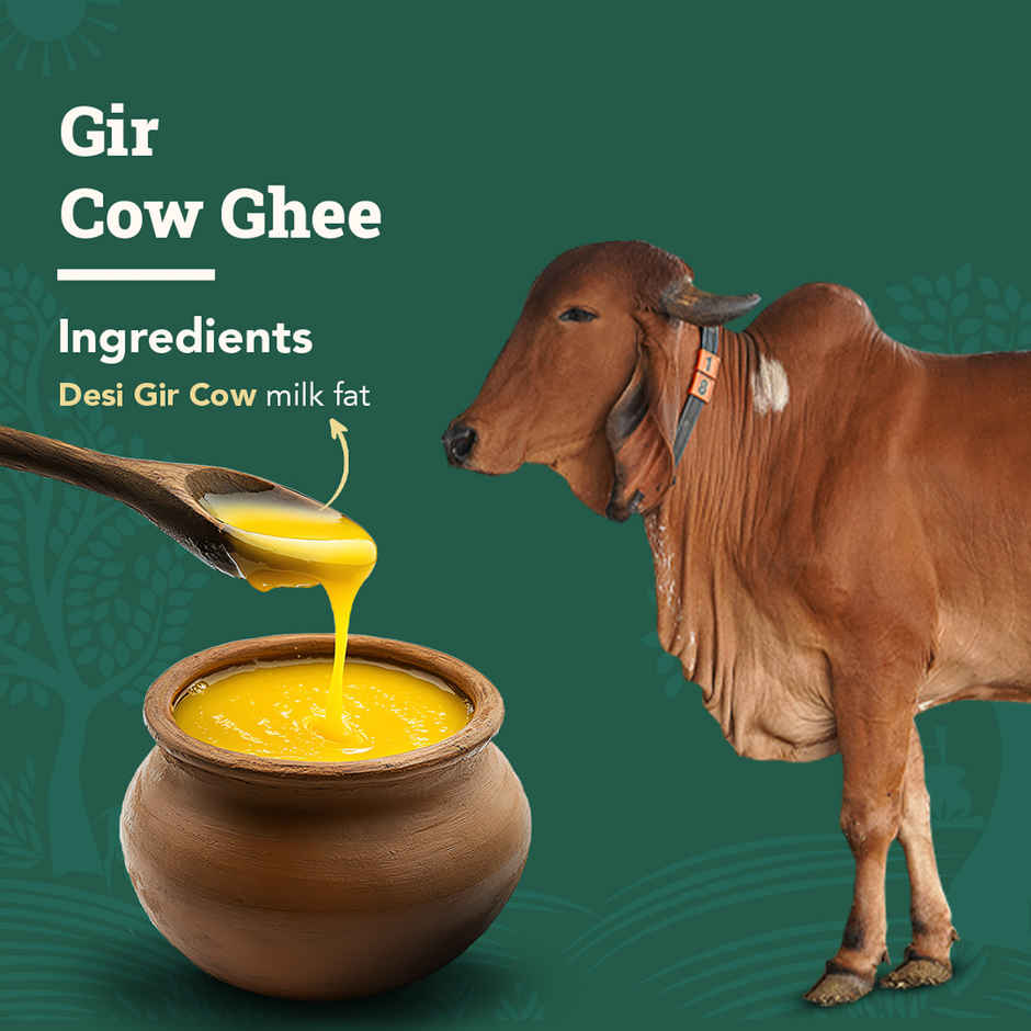 Anveshan A2 Gir Cow Ghee Traditional Bilona Method Cultured Curd Based Immunity Booster