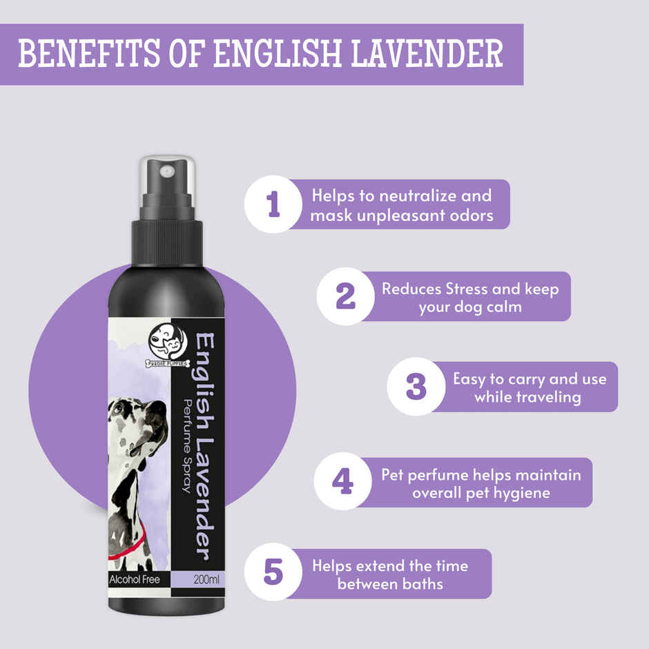 Foodie Puppies English Lavender Dog Perfume