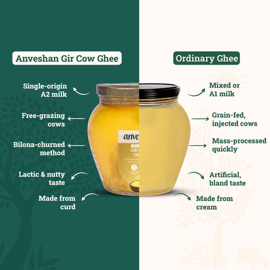 Anveshan A2 Gir Cow Ghee Traditional Bilona Method Cultured Curd Based Immunity Booster