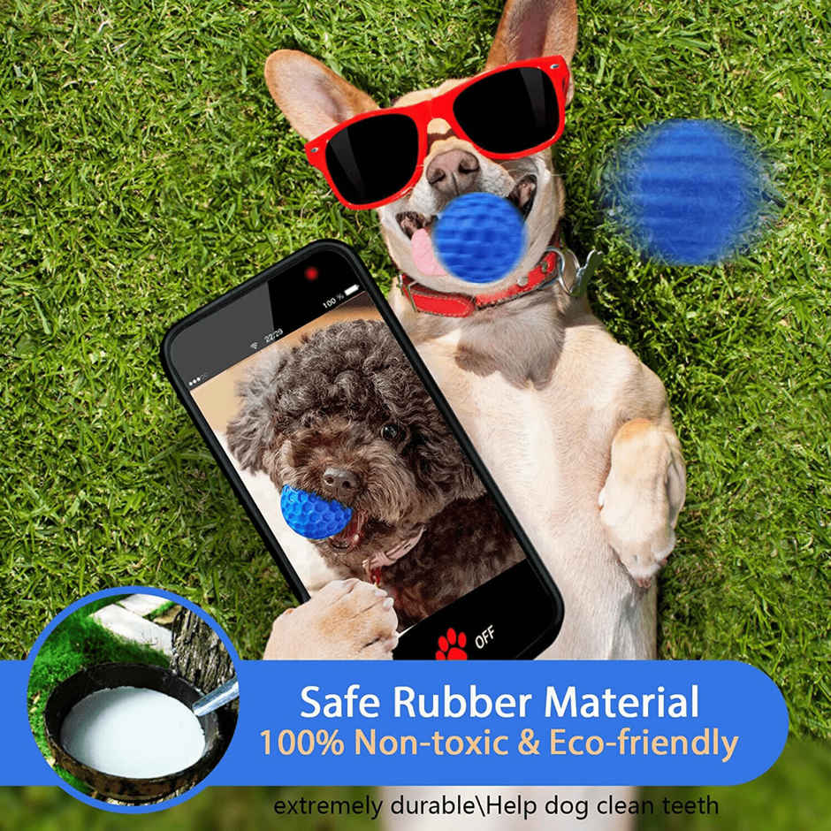Foodie Puppies Interactive Squeaky Dog Chew Ball Toy For Medium Dogs | Non-Toxic Rubber (Large)