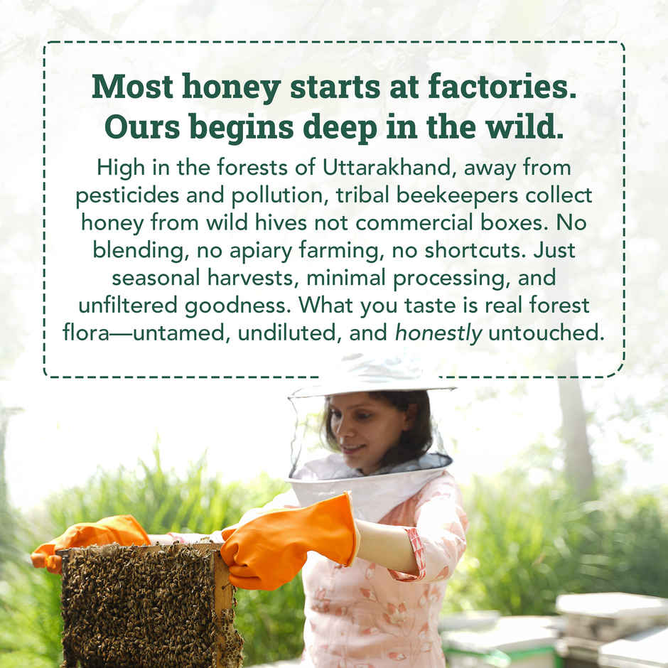 Anveshan Raw Wild Forest Honey