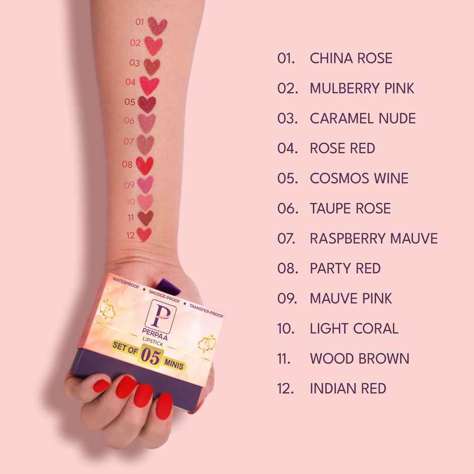 PERPAA Beauty Vegan Matte Liquid Lipstick Kit