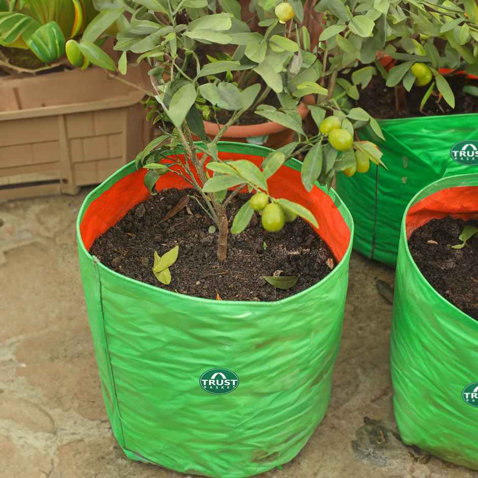 TrustBasket Terrace Grow Bags | UV Treated HDPE Planters for Greens - 12 x 12 Inch