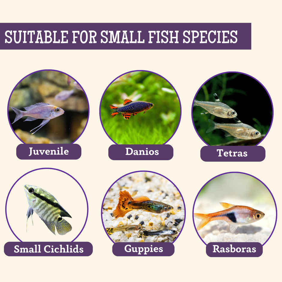 Foodie Puppies Fish Food Small And Medium Tropical Aquarium Fish Daily Nutrition Formula