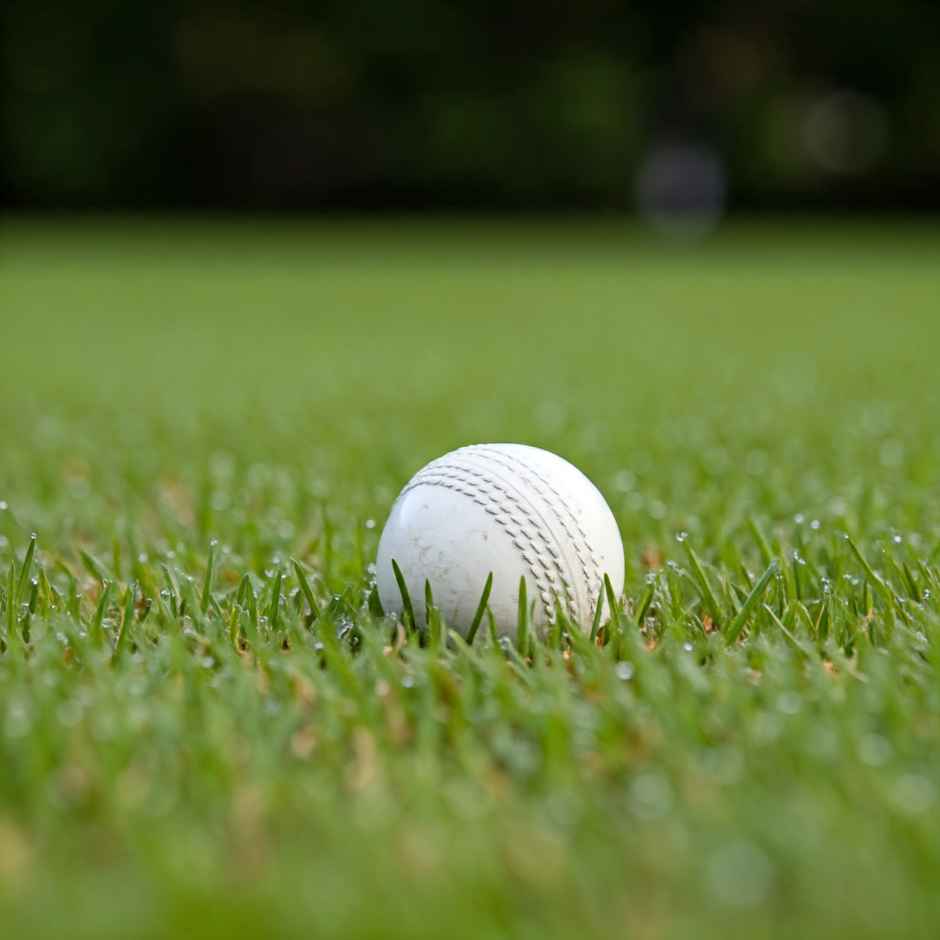 Zike Armor Leather Ball (White)