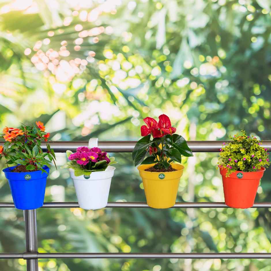 TrustBasket Hector Hook Pot | Hanging Plastic Balcony Planters | Assorted