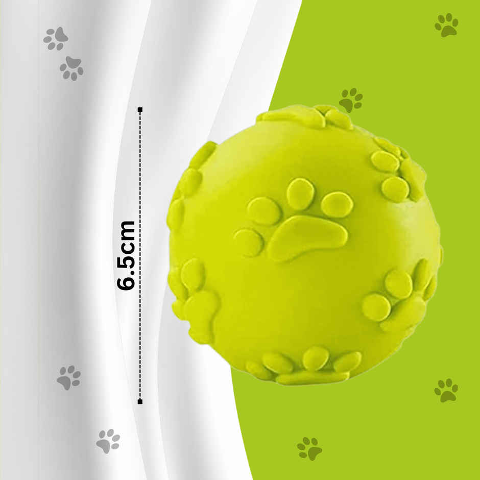 Foodie Puppies Dog Latex Squeaky Claw Ball | Small
