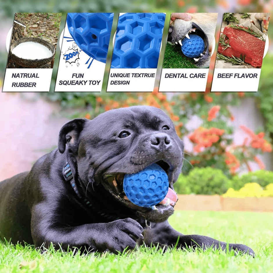 Foodie Puppies Interactive Squeaky Dog Chew Ball Toy For Medium Dogs | Non-Toxic Rubber (Large)