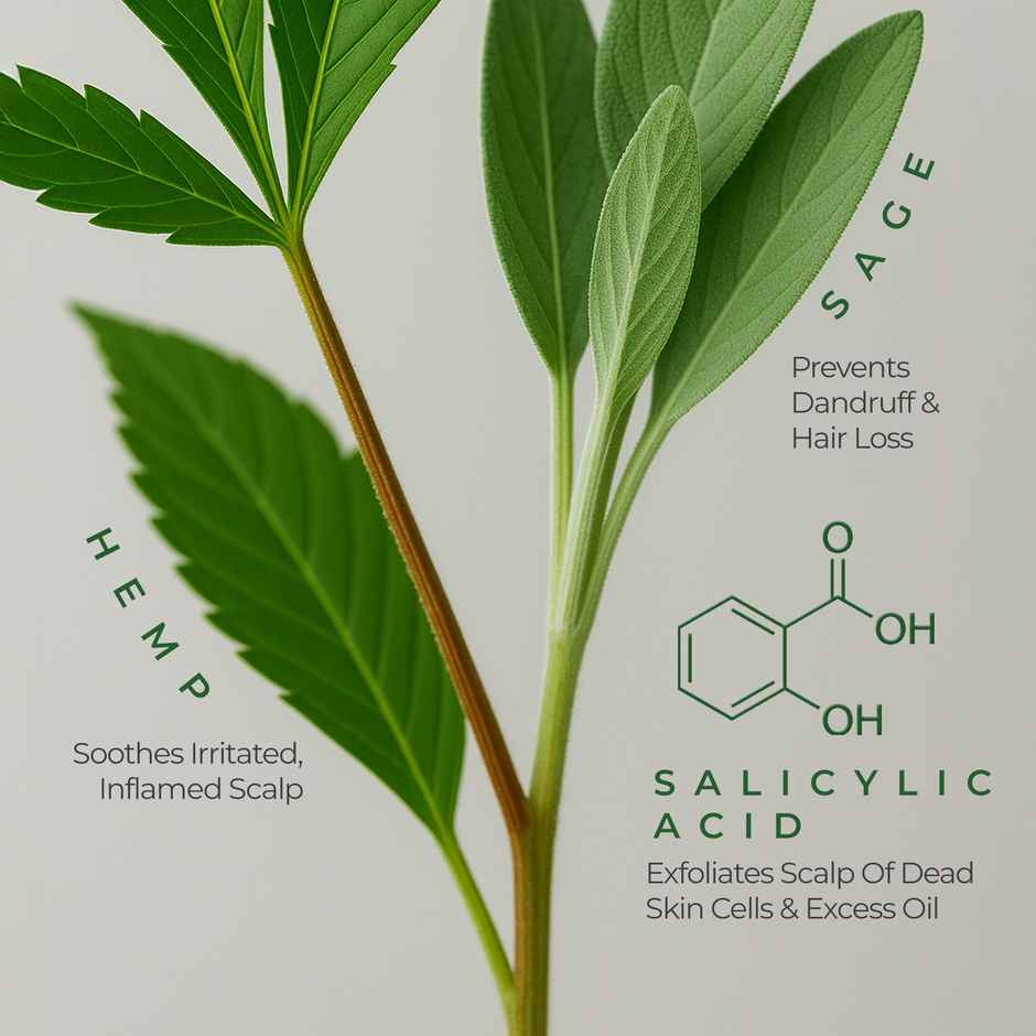 Naturali Anti-Dandruff Shampoo|Hemp, Sage & Salicylic Acid|For Men & Women|Sulphate free