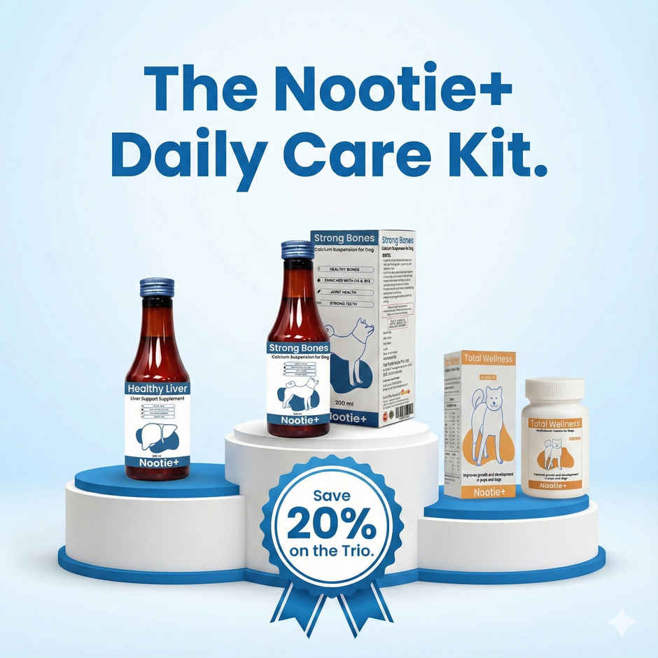 Nootie Strong Bone Support Calcium Syrup for Dogs & Cats