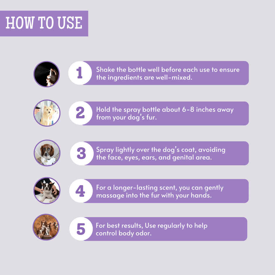 Foodie Puppies English Lavender Dog Perfume