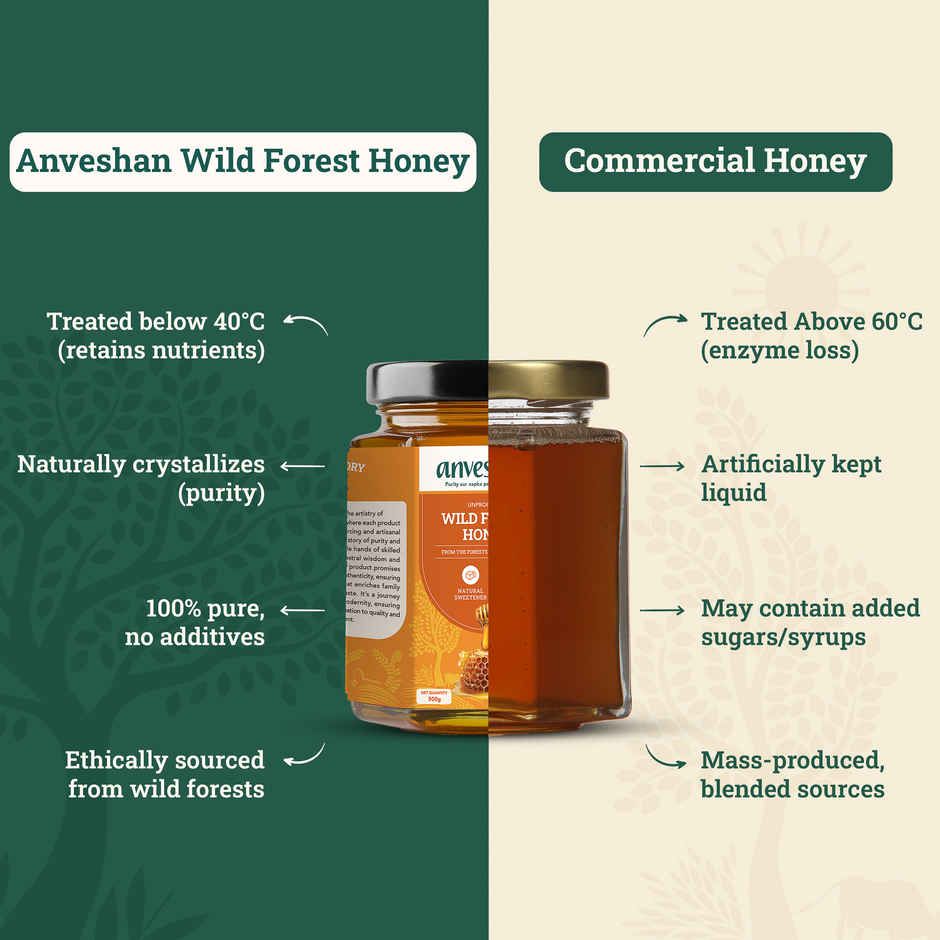 Anveshan Raw Wild Forest Honey
