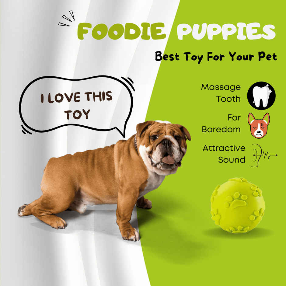 Foodie Puppies Dog Latex Squeaky Claw Ball | Small