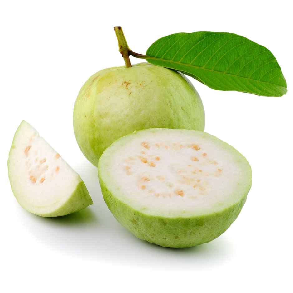 Guava Indian