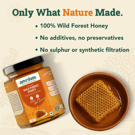 Anveshan Raw Wild Forest Honey
