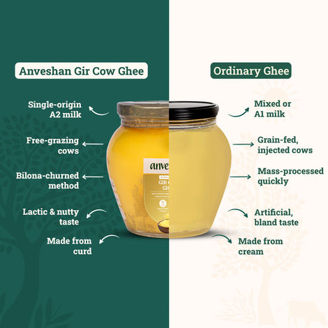 Anveshan A2 Gir Cow Ghee Traditional Bilona Method Cultured Curd Based Immunity Booster