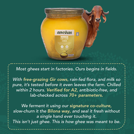 Anveshan A2 Gir Cow Ghee Traditional Bilona Method Cultured Curd Based Immunity Booster