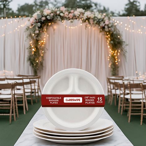 Careswipe 3 Compartment Disposable Plate 10 Inches 15 Pcs