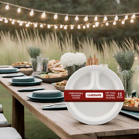 Careswipe 3 Compartment Disposable Plate 10 Inches 15 Pcs