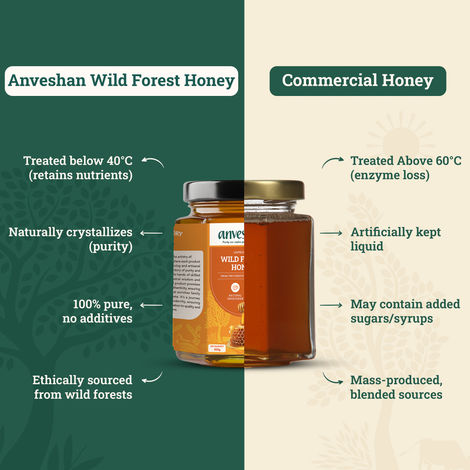 Anveshan Raw Wild Forest Honey
