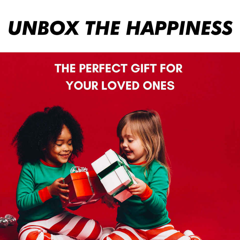 Frendo 1:24 Hi Speed Mini Remote Control Car -Rov Grey