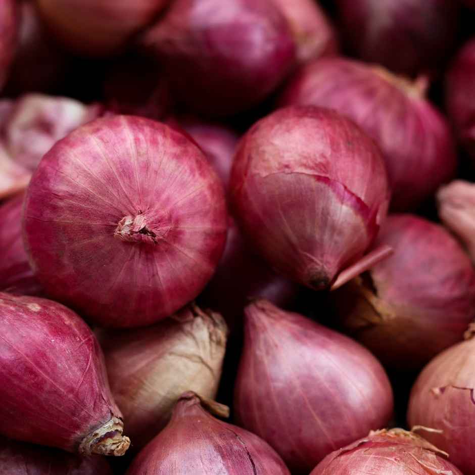 Organic Onion