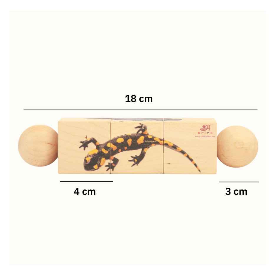 Ariro Toys Rotating Puzzle - Amphibians