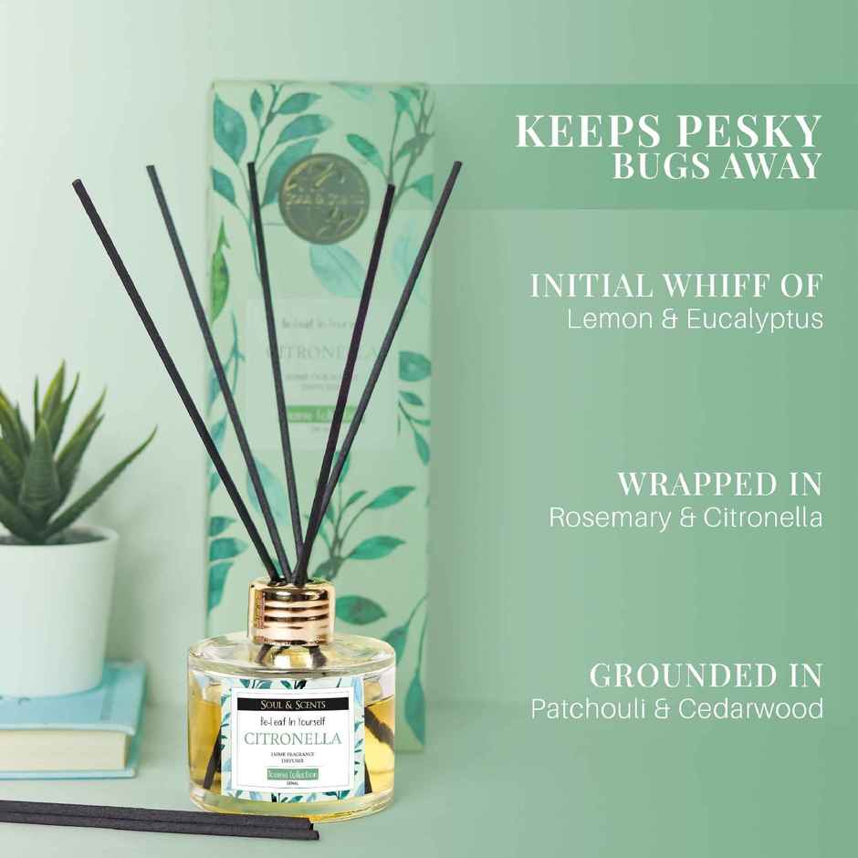 Soul & Scents Citronella Reed Diffuser