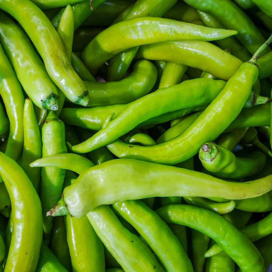 Organic Green Chilli