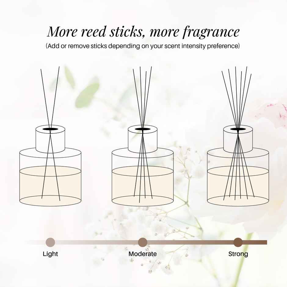 Soul & Scents Coconut Reed Diffuser