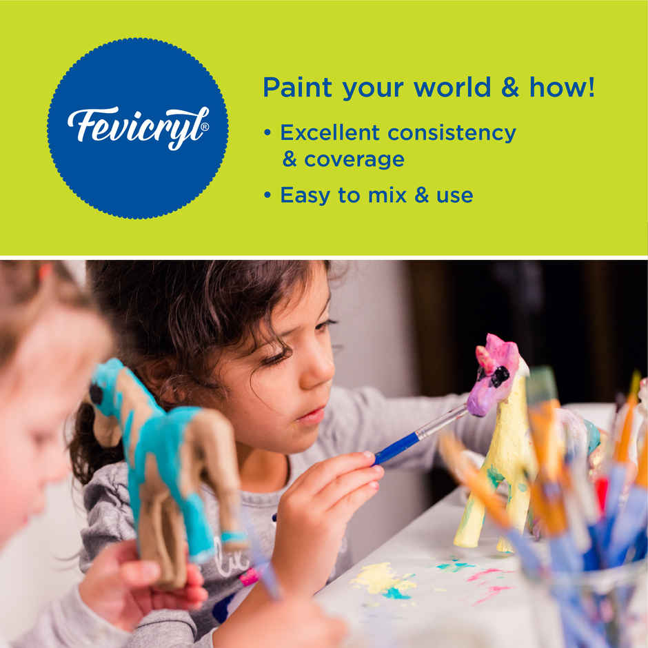 Fevicryl Acrylic Color Set (6 Shades X 10ml)