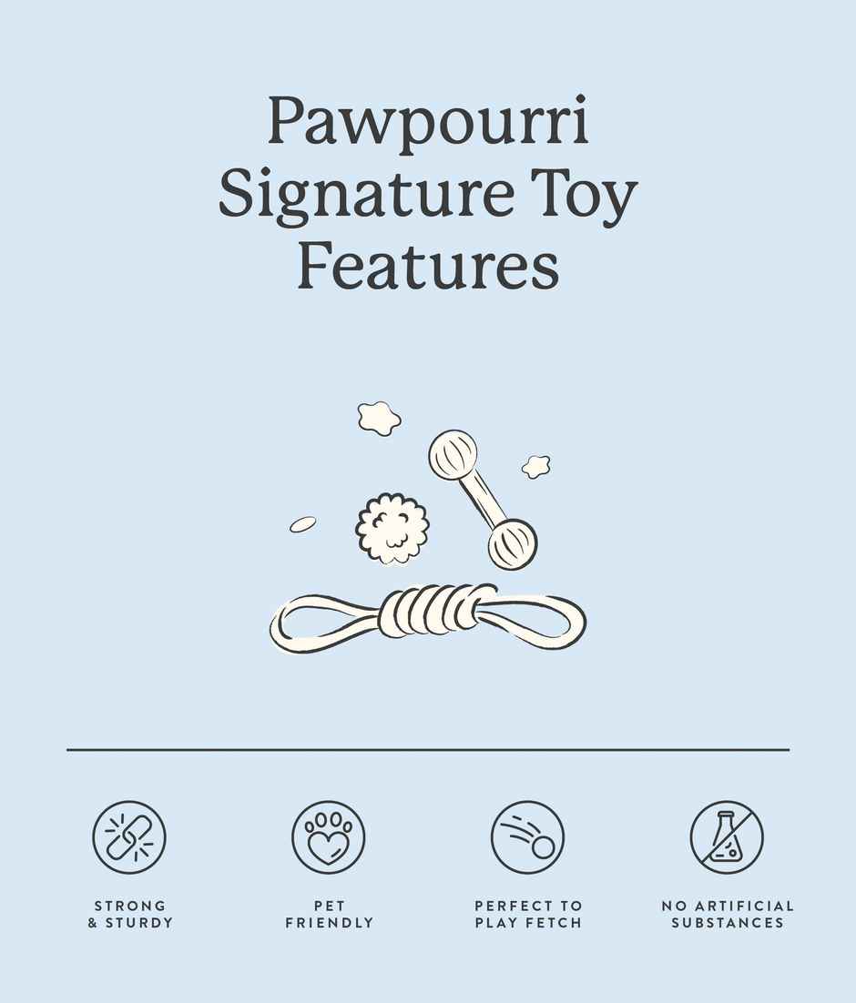 Pawpourri Heart Rope Dog Toy