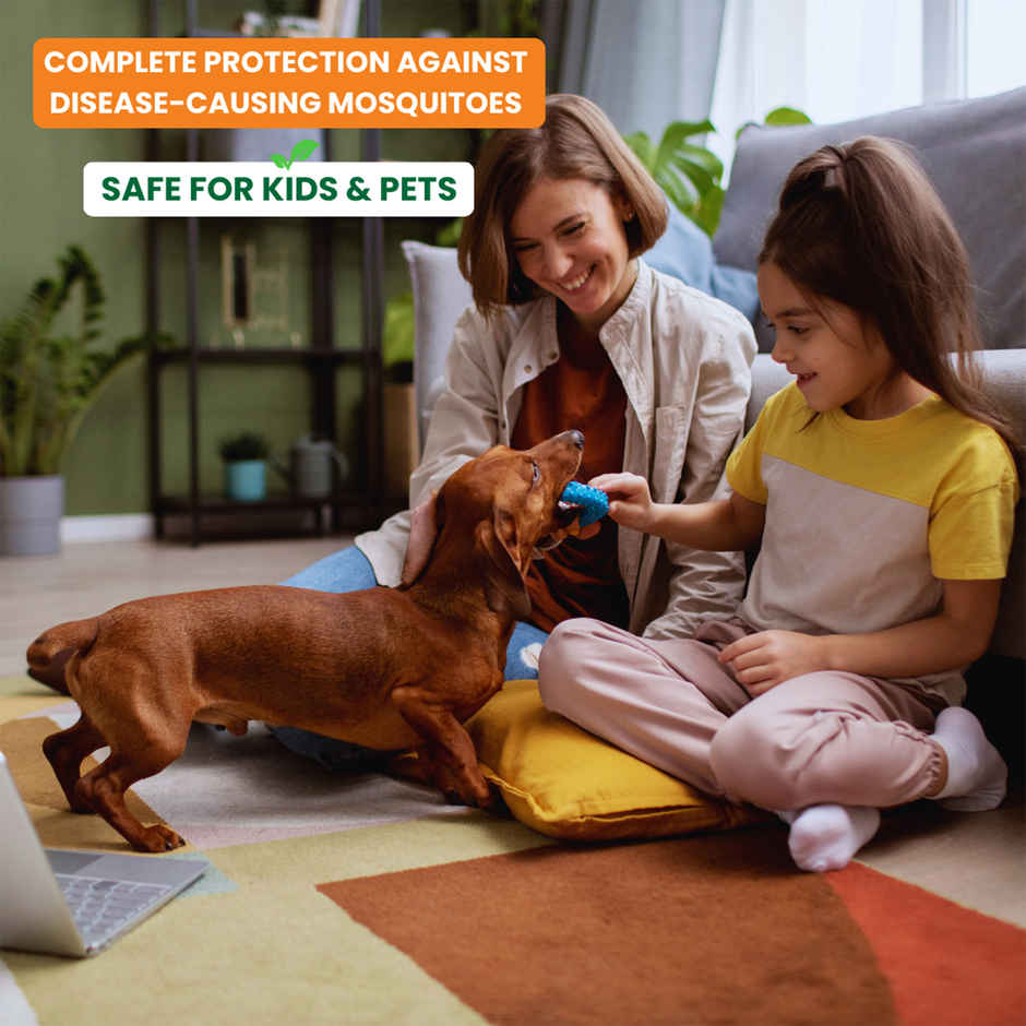 Herbal Strategi Mosquito Repellent Room Spray