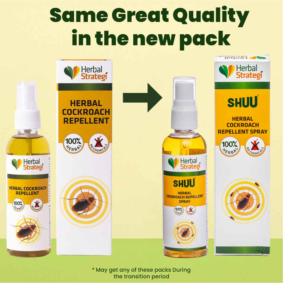 Herbal Strategi Cockroach Repellent
