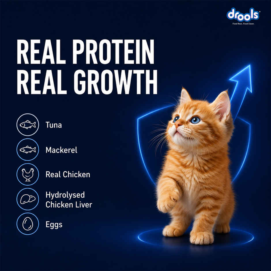 Drools Ocean Fish Mousse Kitten Wet Food