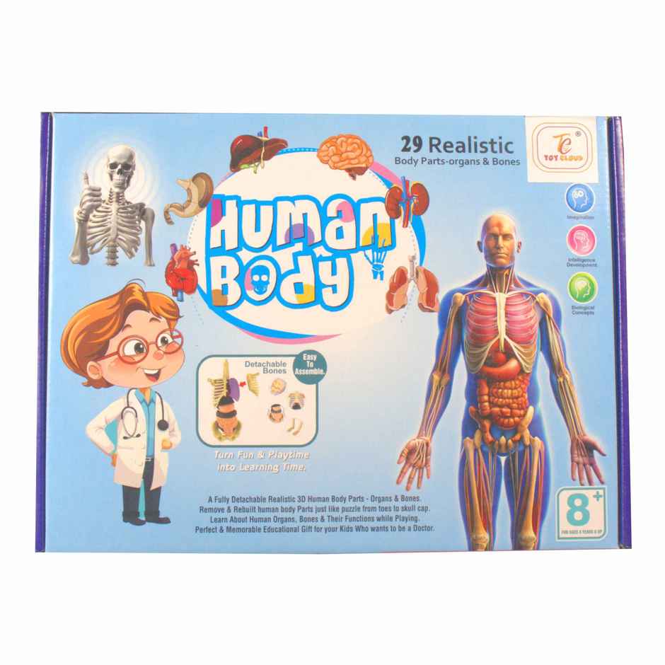 Toy Cloud Transparent Human Body Anatomy 3D Model with 29 Realistic Detachable Body Parts And Bones