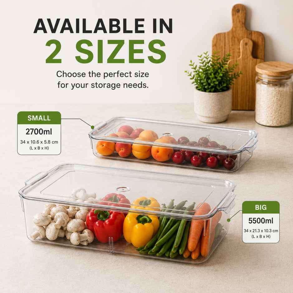 Steelo Organizer Tray | 2.7 L