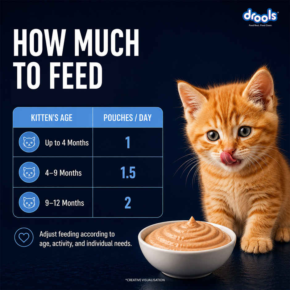 Drools Ocean Fish Mousse Kitten Wet Food