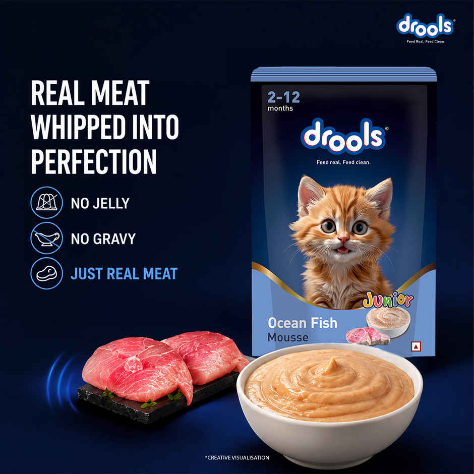 Drools Ocean Fish Mousse Kitten Wet Food
