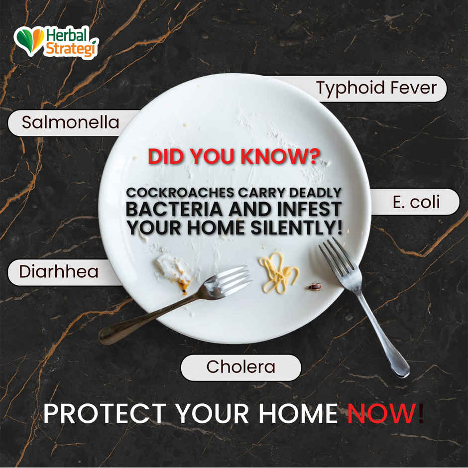 Herbal Strategi Cockroach Repellent