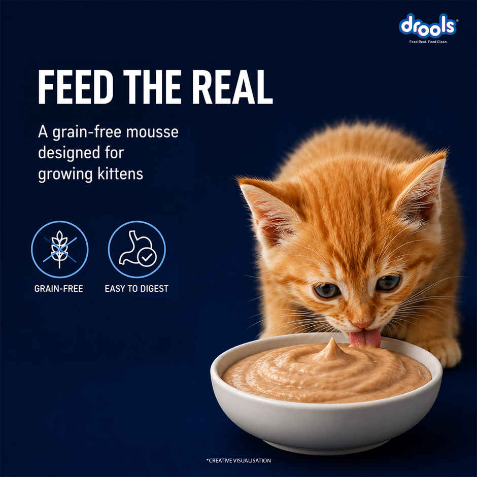 Drools Ocean Fish Mousse Kitten Wet Food